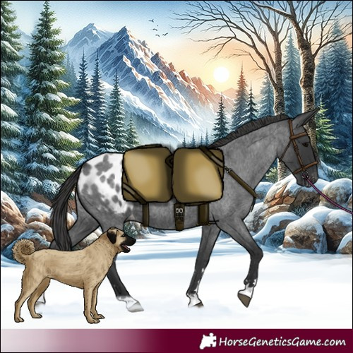 Horse Color:Blue Roan Blanket 