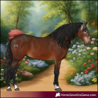 Horse Color:Gray Bay 