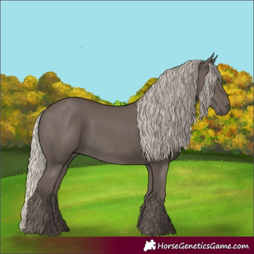 Horse Color:Silver Black 