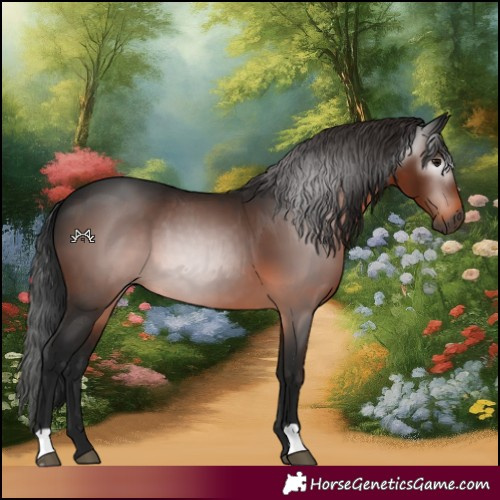 Horse Color:Gray Bay 