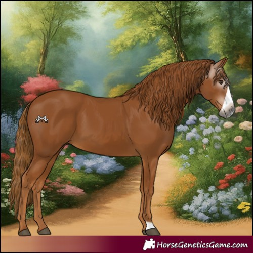 Horse Color:Gray Chestnut Frame 