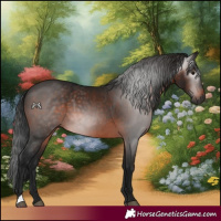 Horse Color:Gray Bay 