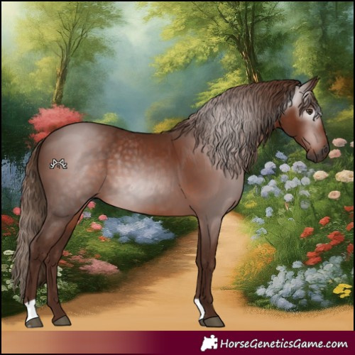 Horse Color:Gray Chestnut 