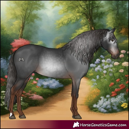 Horse Color:Gray Liver Chestnut 