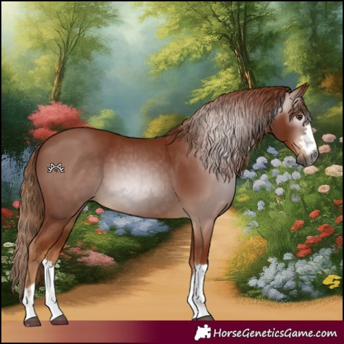 Horse Color:Gray Chestnut 