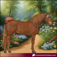 Horse Color:Gray Chestnut 
