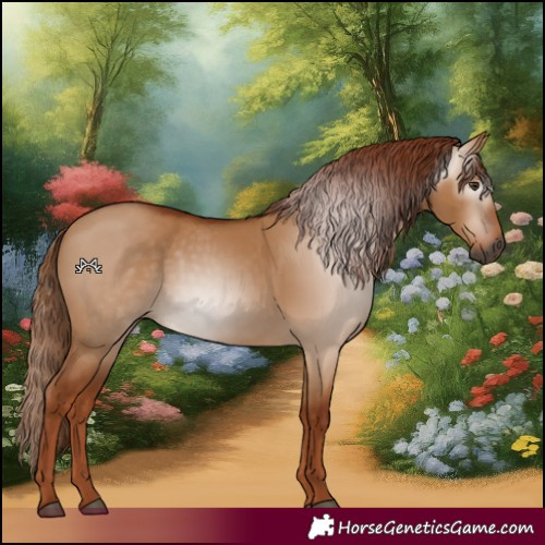 Horse Color:Gray Red Dun 