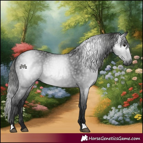 Horse Color:Gray Black 
