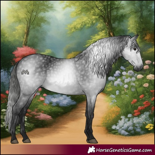 Horse Color:Gray Black 