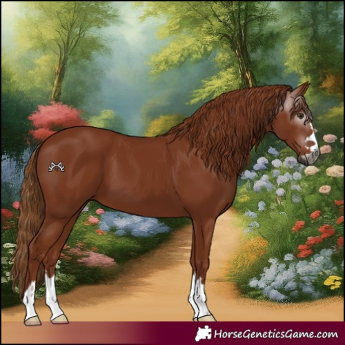 Horse Color:Gray Chestnut 