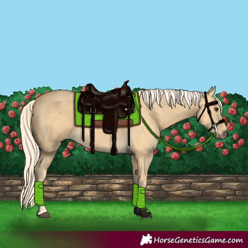 Horse Color:Palomino 