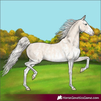 Horse Color:Cremello Sabino  and Cremello Sabino 