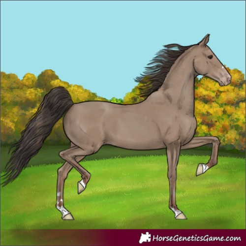 Horse Color:Classic Champagne 