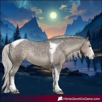 Horse Color:Silver Smoky Black Sabino Tobiano Appaloosa Rabicano