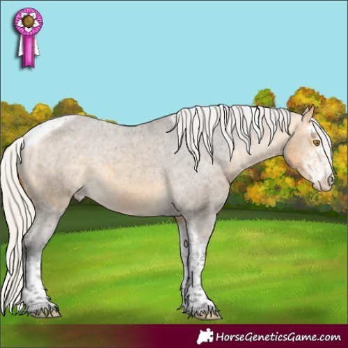 Horse Color:Silver Buckskin Sabino Tobiano Appaloosa Rabicano 