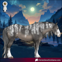 Horse Color:Powder White Black 
