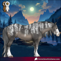 Horse Color:Powder White Black 