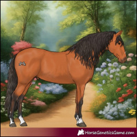 Horse Color:Bay 