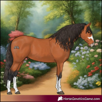 Horse Color:Bay 