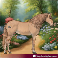 Horse Color:Red Dun 