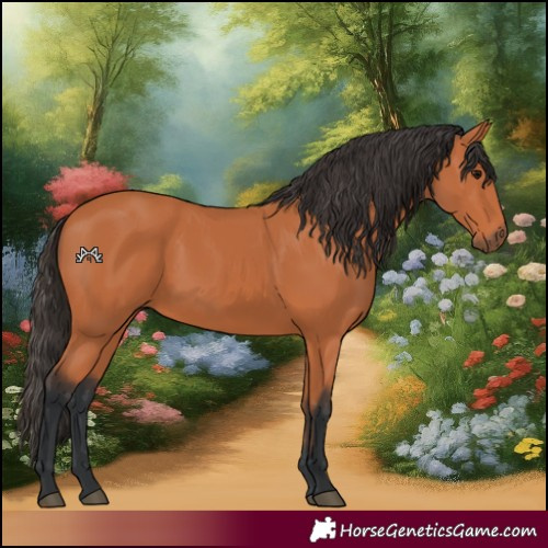 Horse Color:Bay 