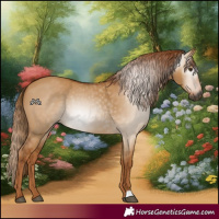 Horse Color:Gray Red Dun 