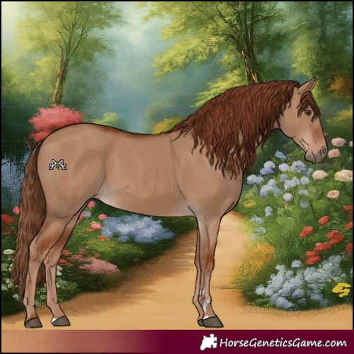 Horse Color:Red Dun 