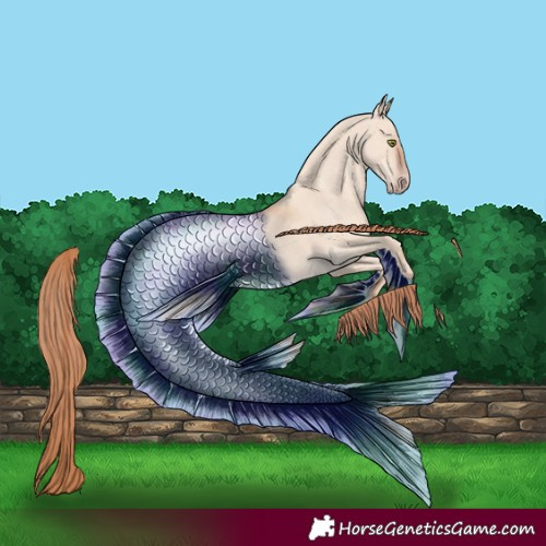 Horse Color:Gold Champagne Dun 