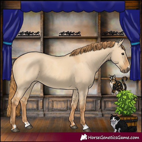 Horse Color:Red Dun