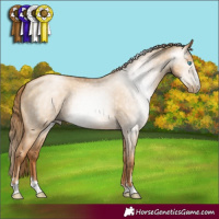 Horse Color:Gray Gold Champagne Pearl Dun