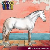 Horse Color:Gray Gold Champagne Pearl Dun 