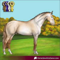 Horse Color:Gray Gold Champagne Pearl Dun 