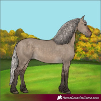 Horse Color:Silver Brown Dun 