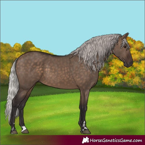 Horse Color:Silver Brown Dun
