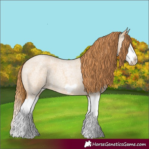 Horse Color:Red Dun Roan Splash Frame Rabicano 
