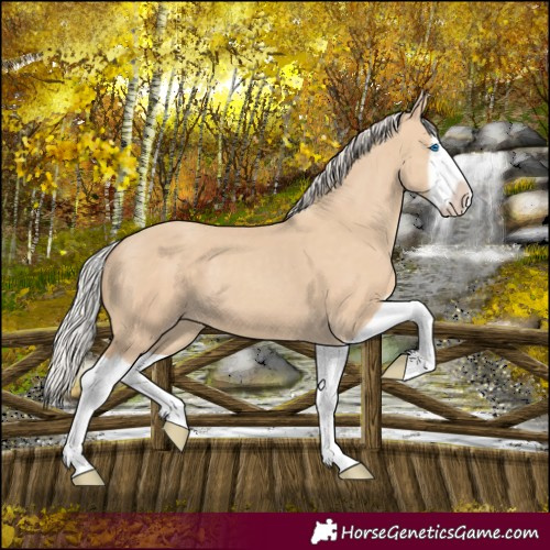 Horse Color:Silver Classic Champagne Dun Splash Frame 