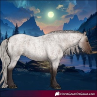 Horse Color:Silver Brown Roan Dun 