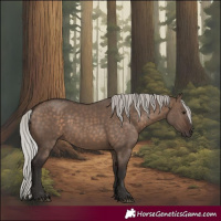 Horse Color:Silver Brown Dun 