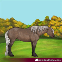 Horse Color:Silver Brown Dun 