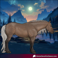 Horse Color:Silver Brown Dun 