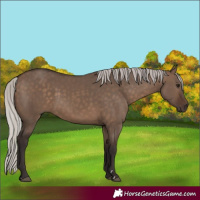 Horse Color:Silver Brown Dun 