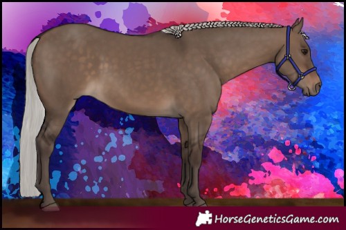 Horse Color:Silver Brown Dun 