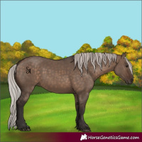 Horse Color:Silver Brown Dun 