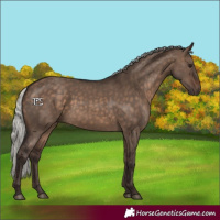 Horse Color:Silver Brown Dun 