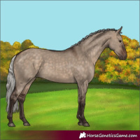 Horse Color:Silver Brown Dun
