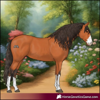 Horse Color:Bay 
