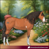 Horse Color:Bay 