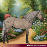 Horse Color:Silver Brown Dun 