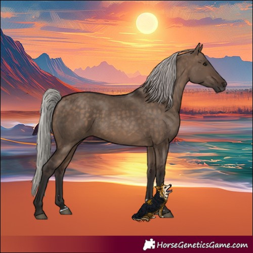 Horse Color:Silver Brown Dun 