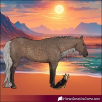 Horse Color:Silver Brown Dun 